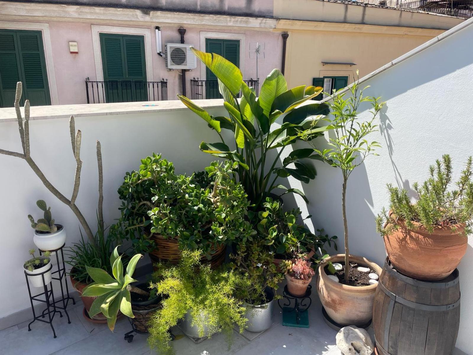 Terrazza Alla Cala Palermo Ngoại thất bức ảnh